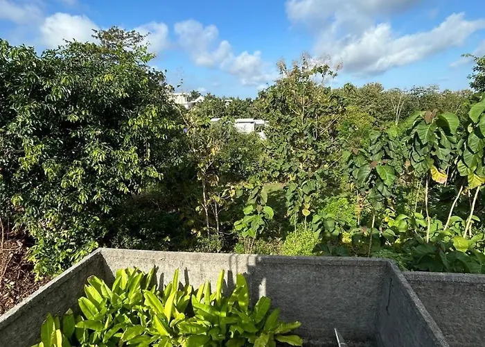 Villa Ulu Aasha *